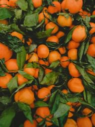 Boost your immune system with Ugli fruit's Vitamin C. (Image via Pexels)